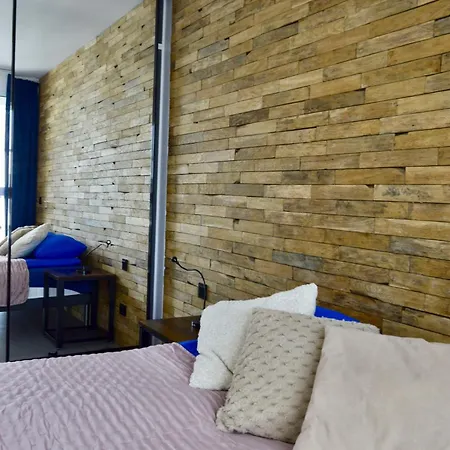 Beskid Nowoczesne, Stylowe Z Parkingiem By Reapartments Bielsko-Biala