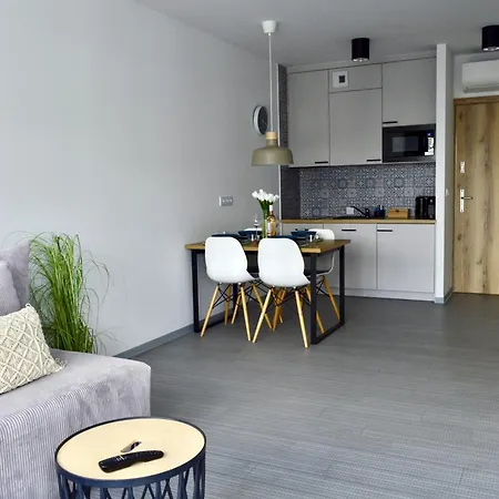 Beskid Nowoczesne, Stylowe Z Parkingiem By Reapartments 公寓