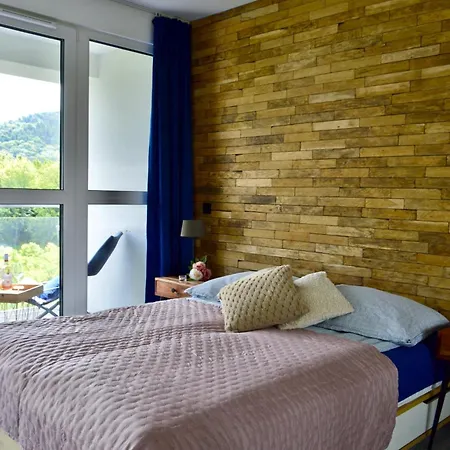 Beskid I Blisko Szlakow I Trasy Rowerowe I Rowerownia I Parking I Klimatyzacja Apartment *