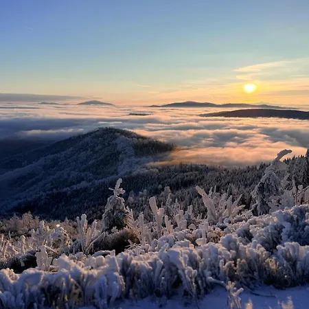 Beskid Nowoczesne, Stylowe Z Parkingiem By Reapartments Бельсько-Бяла
