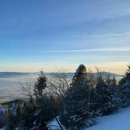 Beskid Nowoczesne, Stylowe Z Parkingiem By Reapartments Бельсько-Бяла