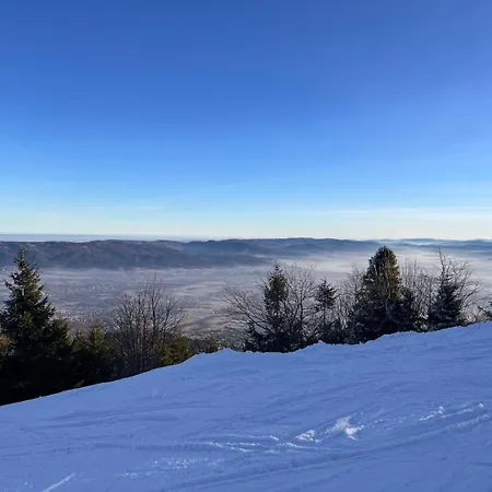 Beskid Nowoczesne, Stylowe Z Parkingiem By Reapartments * Бельсько-Бяла