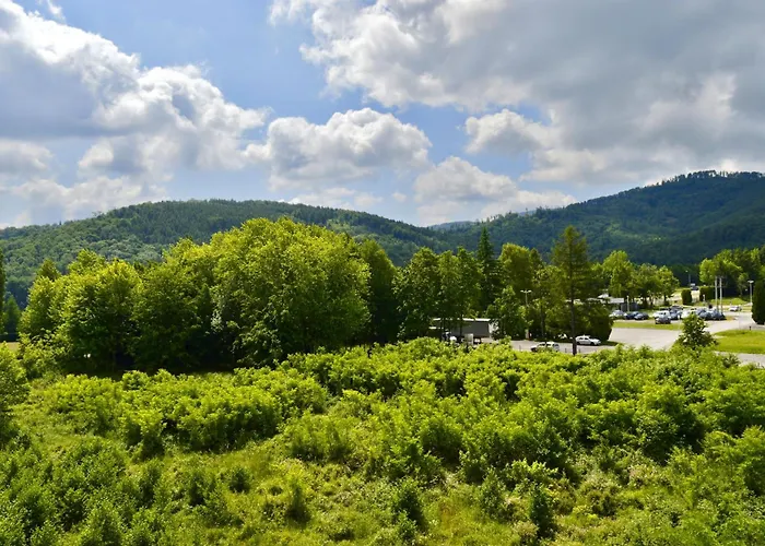 Beskid Nowoczesne, Stylowe Z Parkingiem By Reapartments Apartamento Bielsko-Biala