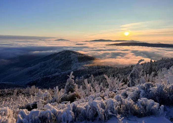 Beskid Nowoczesne, Stylowe Z Parkingiem By Reapartments Bielsko-Biala