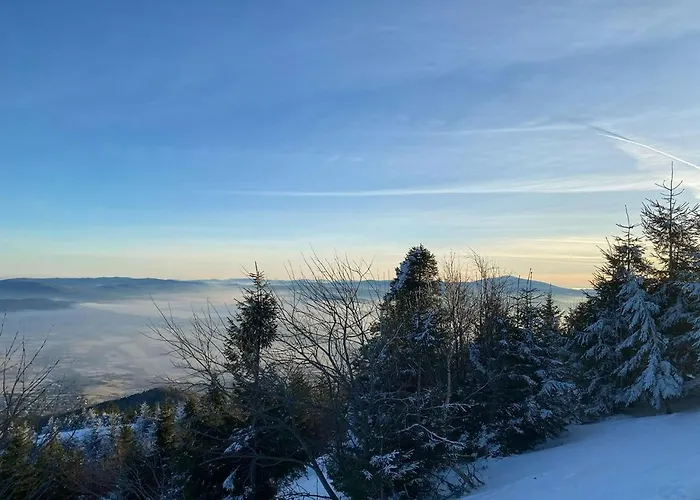 Beskid Nowoczesne, Stylowe Z Parkingiem By Reapartments ביילסקו-ביאלה