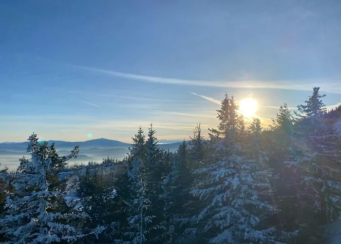 Beskid Nowoczesne, Stylowe Z Parkingiem By Reapartments Bielsko-Biala