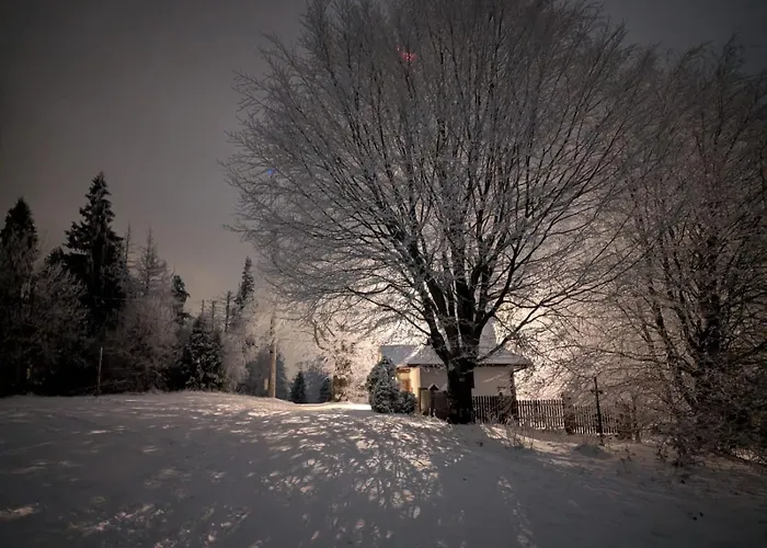 Beskid Nowoczesne, Stylowe Z Parkingiem By Reapartments