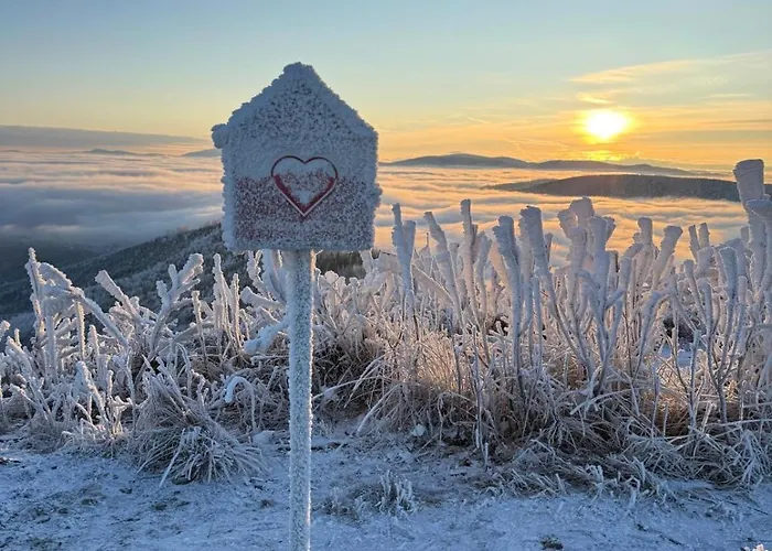 Apartamento Beskid Nowoczesne, Stylowe Z Parkingiem By Reapartments *